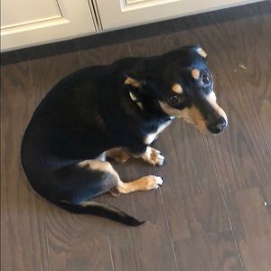 Meet your Posher, David